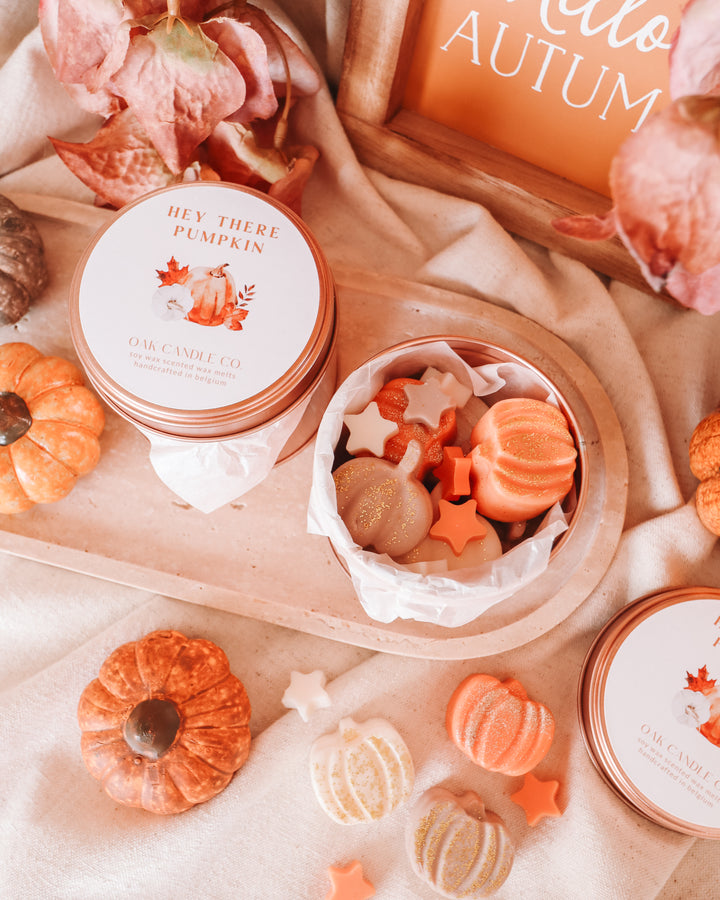 Hey There Pumpkin Tin Jar Wax Melts