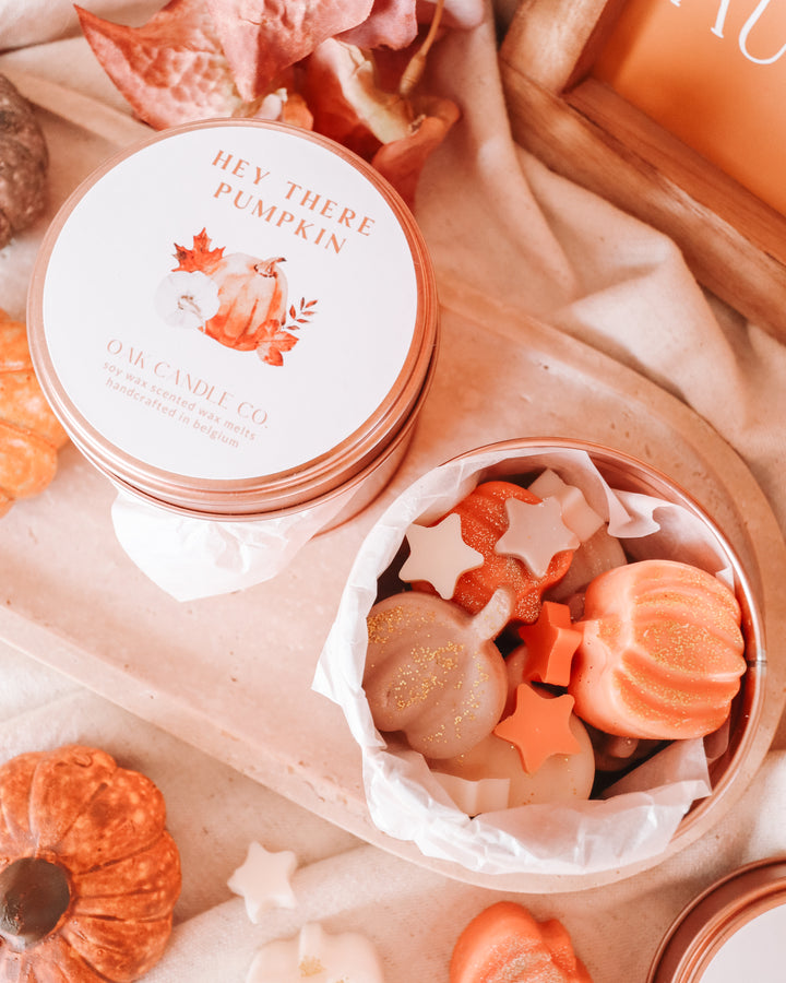 Hey There Pumpkin Tin Jar Wax Melts