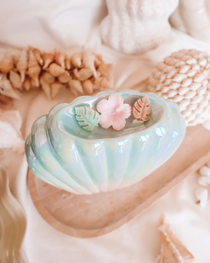 Iridescent Shell Wax Melter