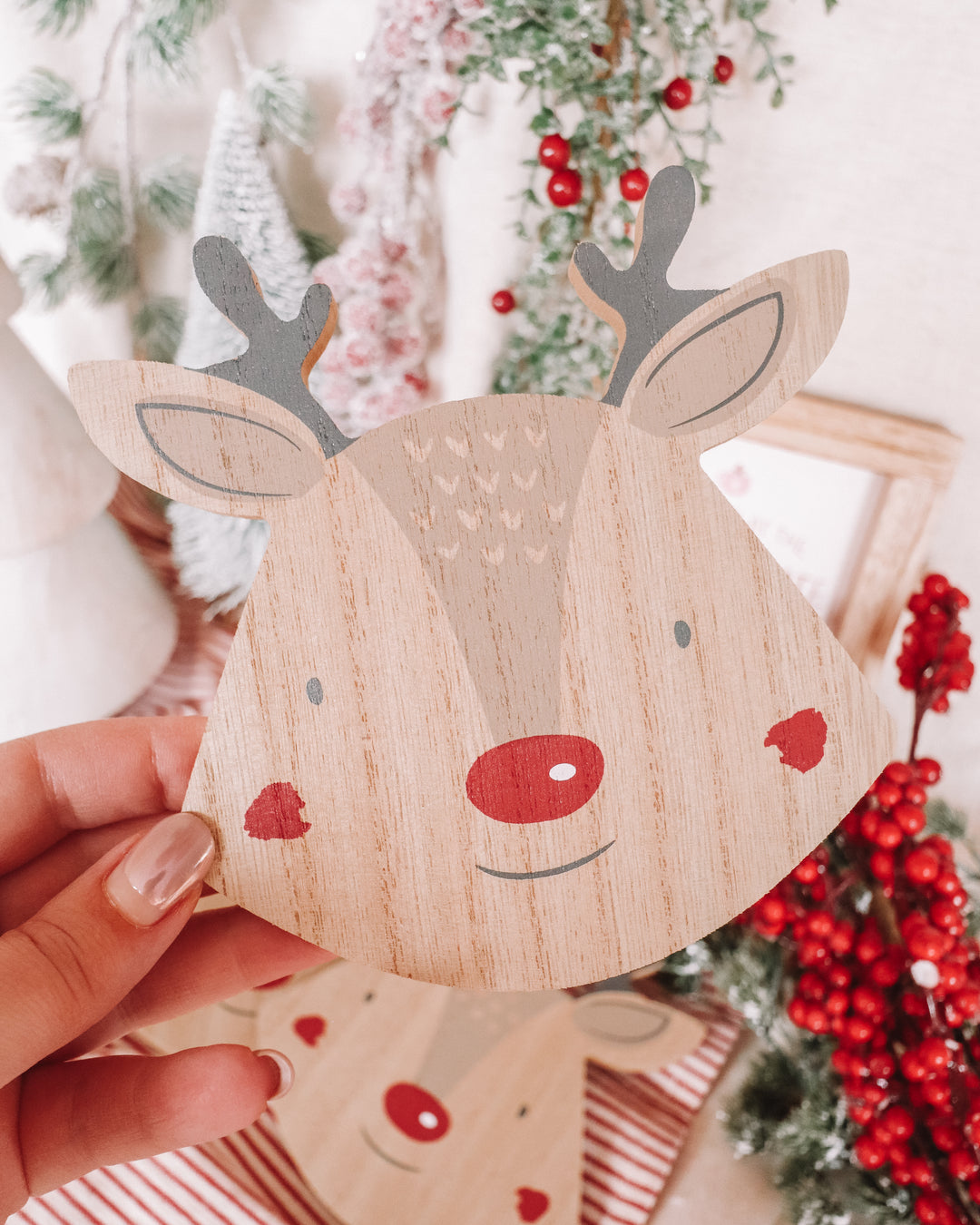 Reindeer Coaster