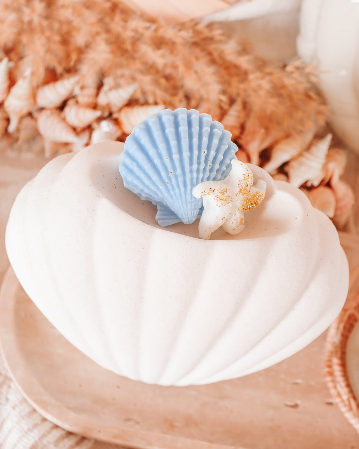 Seashell Wax Melter