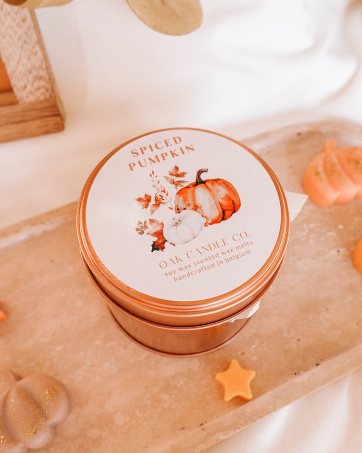 Spiced Pumpkin Pumpkin Tin Jar Wax Melts